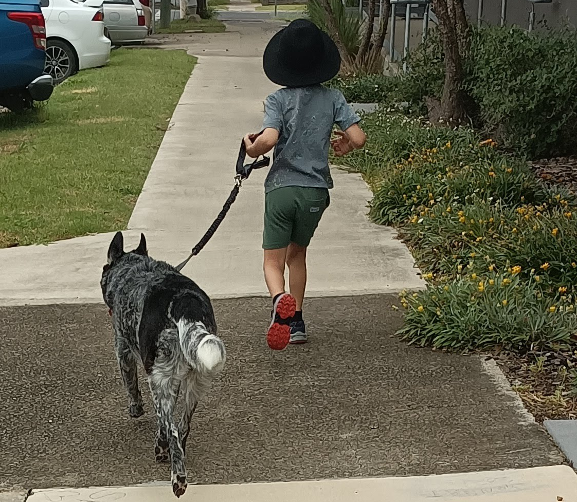 Illustrative image of a child with a dog